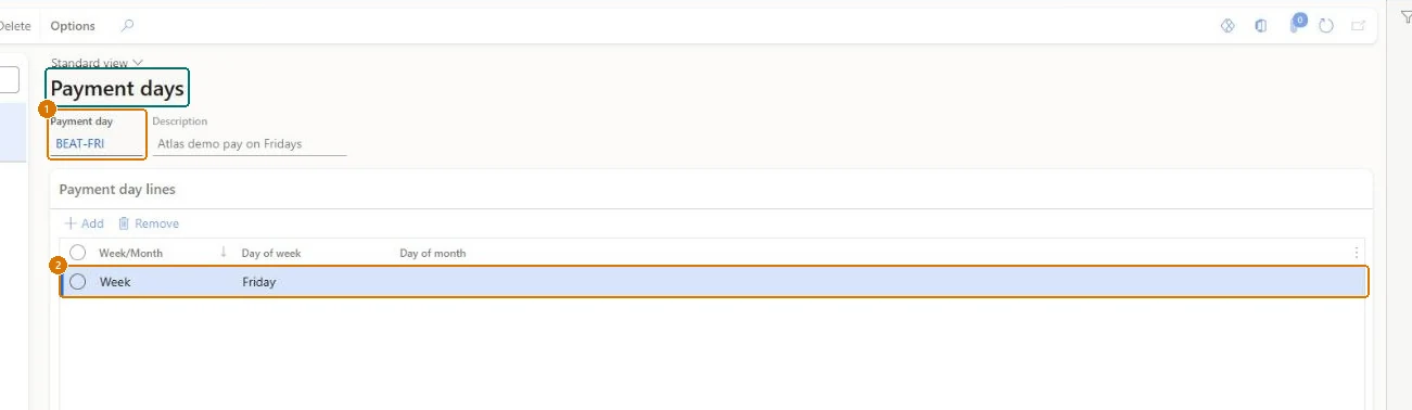 Create the payment day (zoomed on the outlined fields)