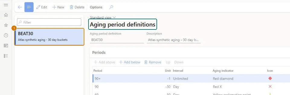 Create the aging period definition (zoomed on the outlined fields)