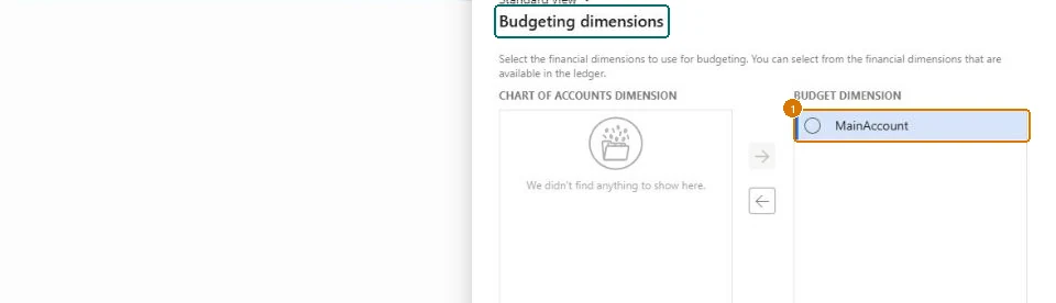 Choose the budgeting dimensions (zoomed on the outlined fields)