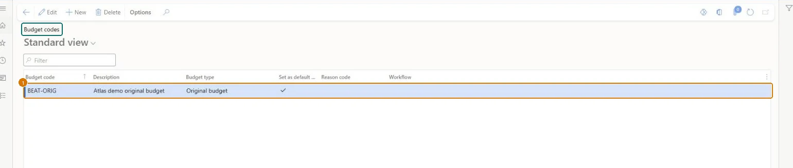 Create the budget code (zoomed on the outlined fields)