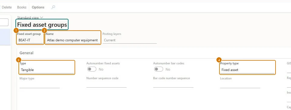 Create the fixed asset group (zoomed on the outlined fields)