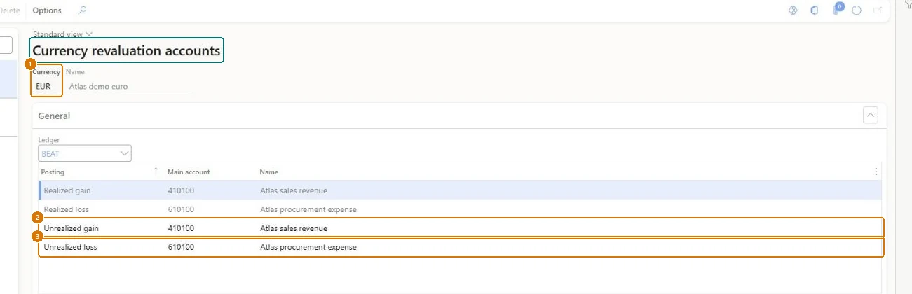 Assign the revaluation accounts (zoomed on the outlined fields)