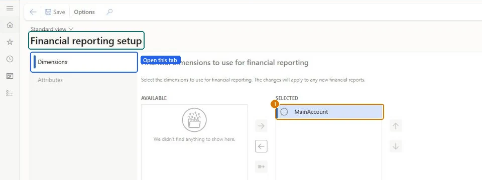 Choose the financial reporting dimensions (zoomed on the outlined fields)