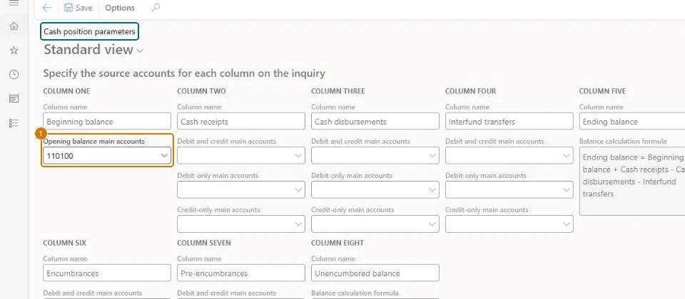Set the cash position opening balance account (zoomed on the outlined fields)